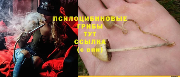 трава Абаза