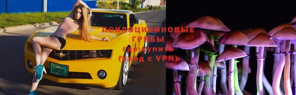 2c-b Абдулино