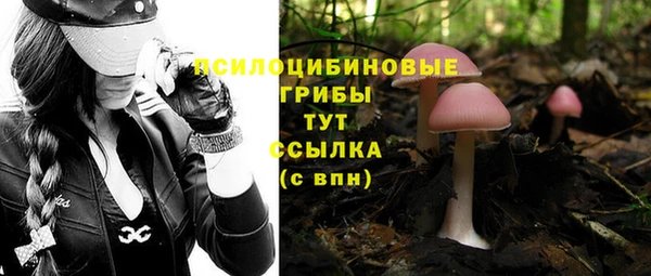 индика Покачи