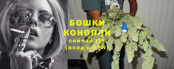 ГАЛЛЮЦИНОГЕННЫЕ ГРИБЫ Покров