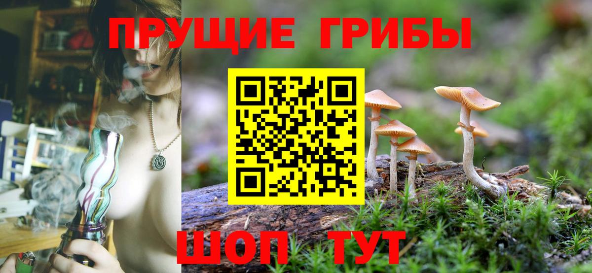 Галлюциногенные грибы прущие грибы Новотроицк