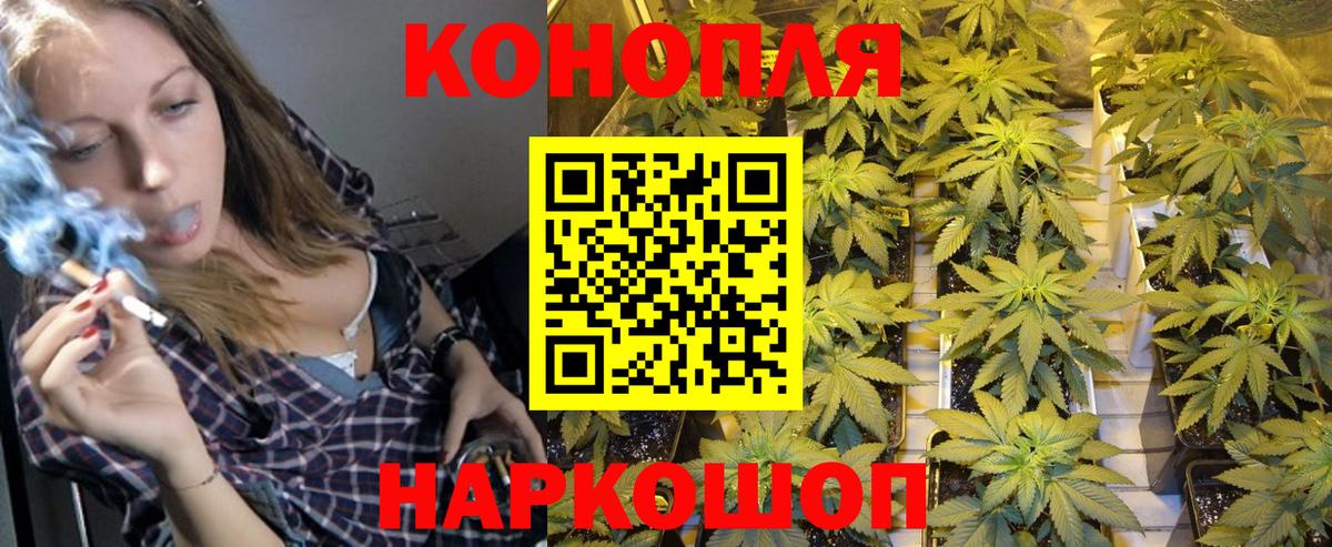Бошки марихуана конопля  Вход с VPN  Новотроицк  Бошки Шишки план 